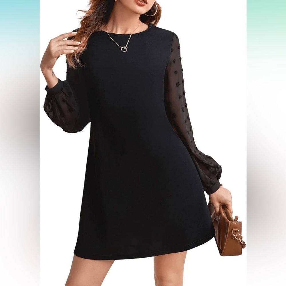 Elegant Black Dress with Sheer Sleeves